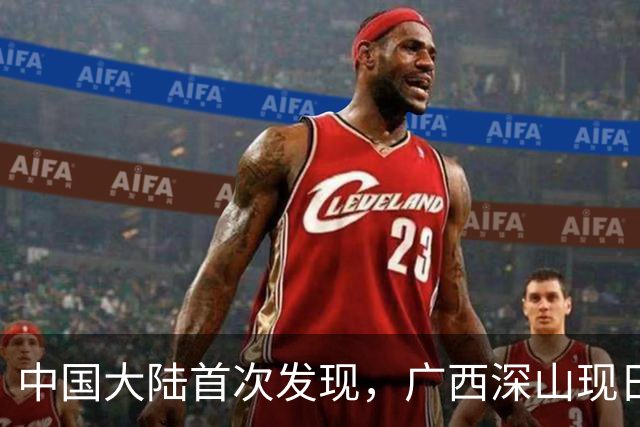 中国大陆首次发现，广西深山现"日本独有兰"，来源至今难解