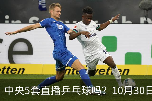 中央5套直播乒乓球吗？10月30日CCTV5直播WTT冠军赛！国乒出战5场