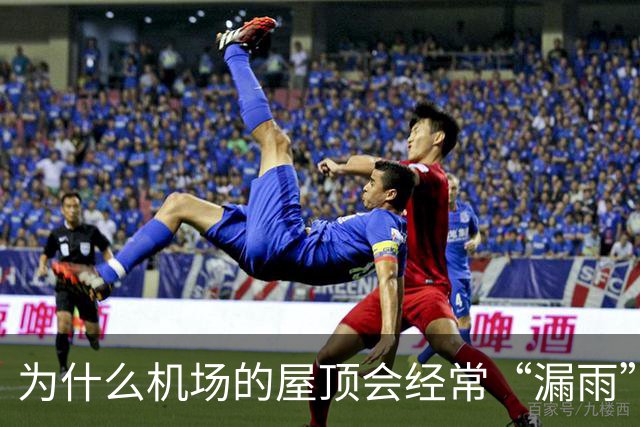 为什么机场的屋顶会经常“漏雨”？用“苔藓”来接漏水也不过是“缓解下旅客心情”而已！