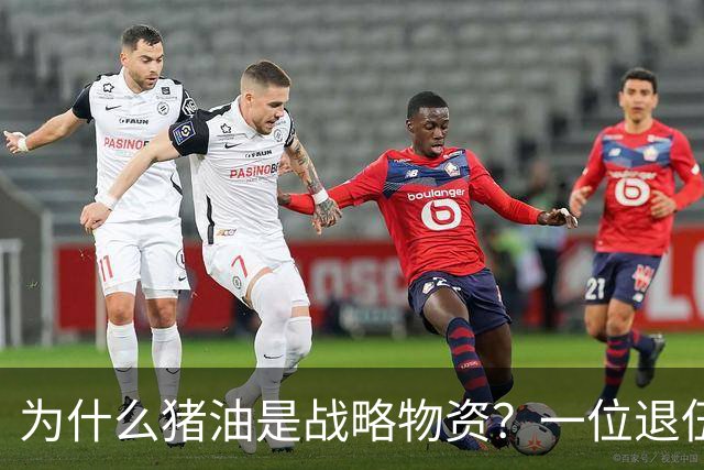 为什么猪油是战略物资？一位退伍老兵曾说过：90%的人不知道，猪油是“战时黄金”，千斤黄金也换不来一斤猪油
