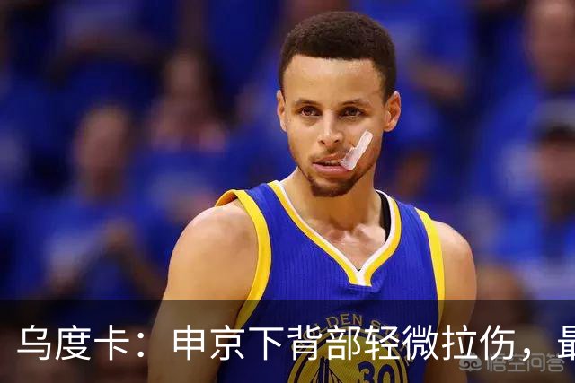 乌度卡：申京下背部轻微拉伤，最多缺席几场