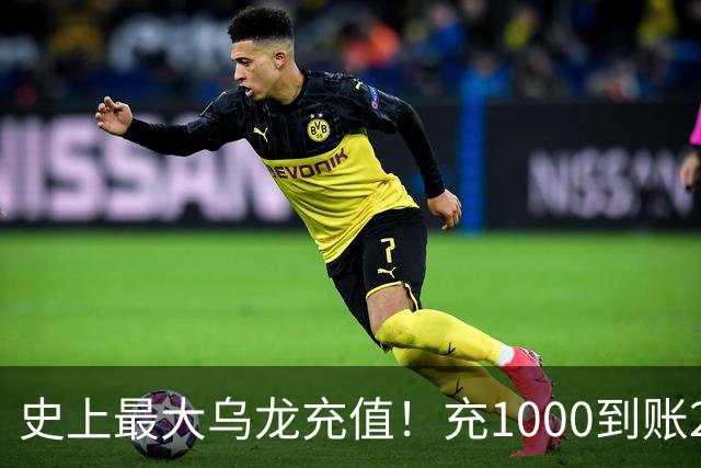 史上最大乌龙充值！充1000到账2641万亿，店主20天花了25万