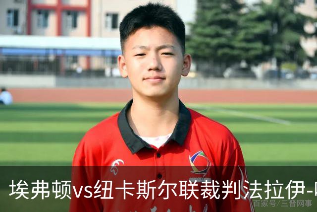 埃弗顿vs纽卡斯尔联裁判法拉伊-哈勒姆数据：近20场0红66黄6点