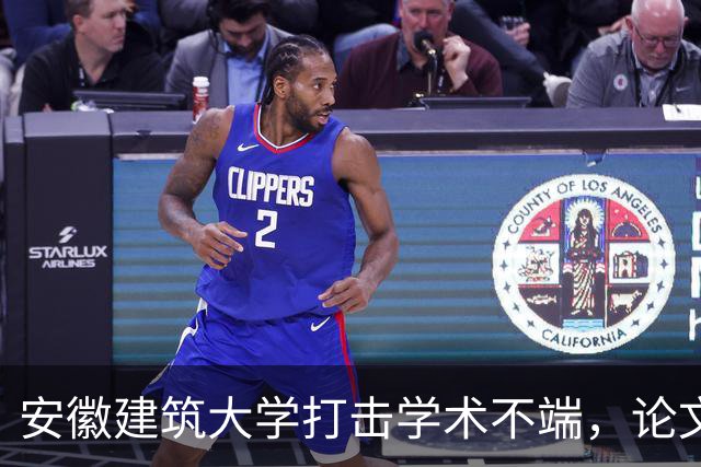 安徽建筑大学打击学术不端，论文倒查近七年，个人逐一复核，耿同学功不可没