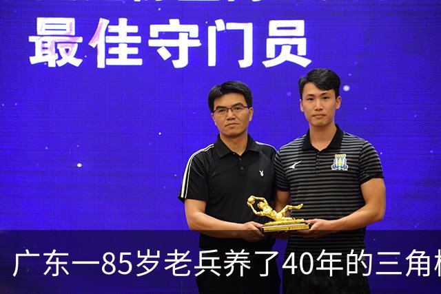 广东一85岁老兵养了40年的三角梅“火了”，开成“浪漫花屋”，网友：看哭了