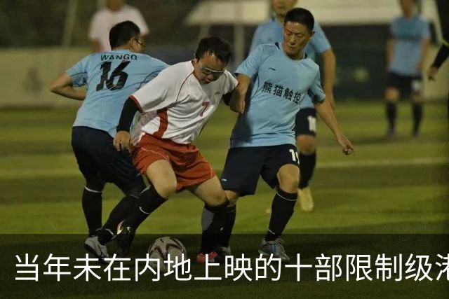 当年未在内地上映的十部限制级港片，你有幸看过哪几部？