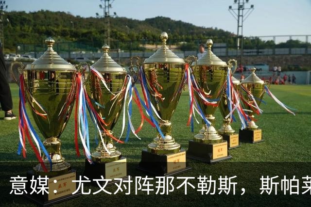 意媒：尤文对阵那不勒斯，斯帕莱蒂准备变阵3-5-1-1