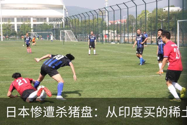 日本惨遭杀猪盘：从印度买的稀土都是中国货，这下血本无归了