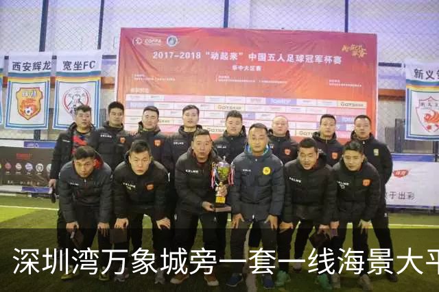 深圳湾万象城旁一套一线海景大平层拍卖，被人5827万竞得