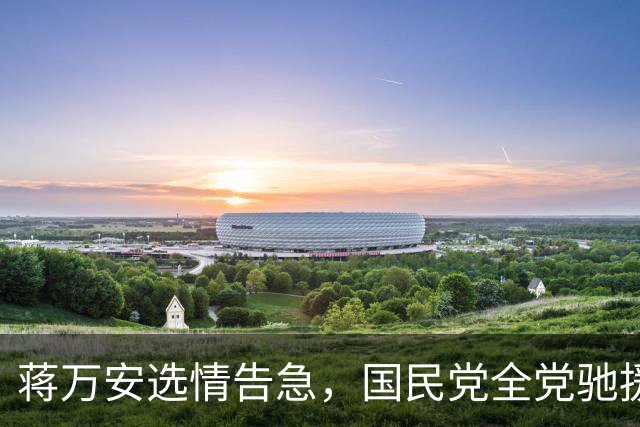 蒋万安选情告急，国民党全党驰援，这两蓝委加入竞总担任总干事