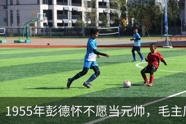 1955年彭德怀不愿当元帅，毛主席问谁来？彭总推荐段德昌！